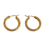 Seduce Hoop Earrings