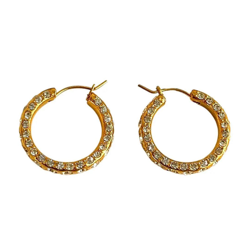 Seduce Hoop Earrings