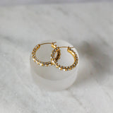 Seduce Hoop Earrings